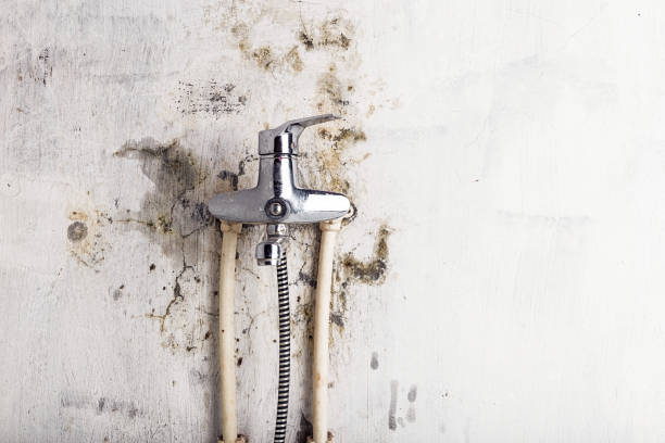  Many, LA Mold Removal Pros