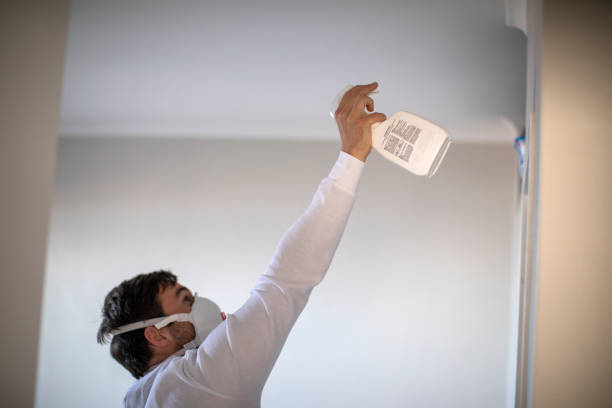 Best Residential Mold Remediation in Many, LA