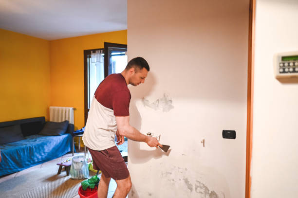Best Mold Testing and Inspection Services in Many, LA